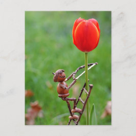Cartão Postal Acorn elf como primavera de tulipa jardineira