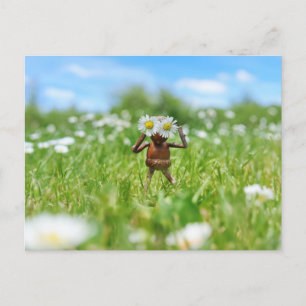 Cartão Postal Acorn elf no campo com margaridas - engraçado