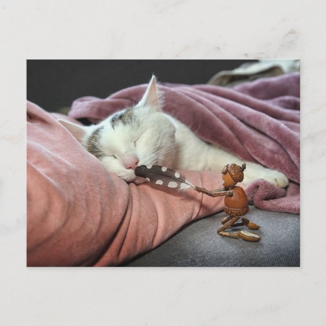 Cartão Postal Acorn elf provocando gato (Frente)