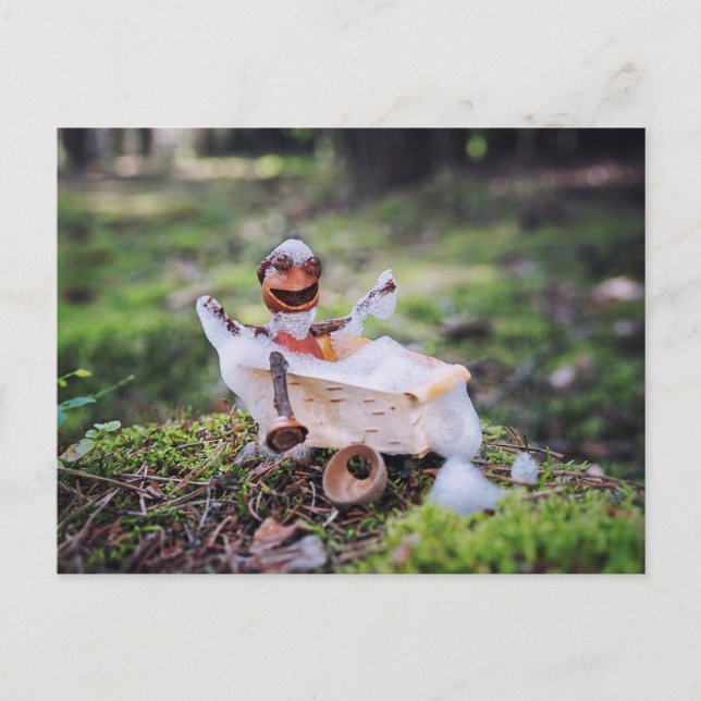 Cartão Postal Acorn elf tomando banho na floresta (Frente)