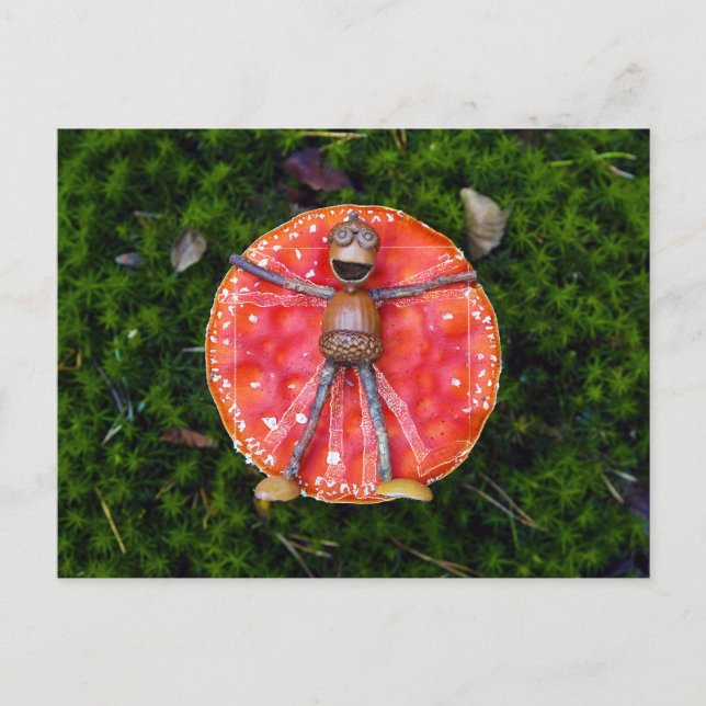 Cartão Postal Acorn elves como Leonardo deitado no cogumelo (Frente)
