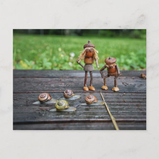 Cartão Postal Acorn elves vê as corridas de caracol - engraçado