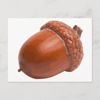 Cartão Postal acorn.png