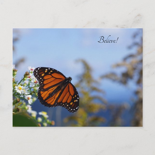 Cartão Postal Acredite! (Frente)