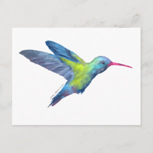 Cartão Postal AD beija-flor