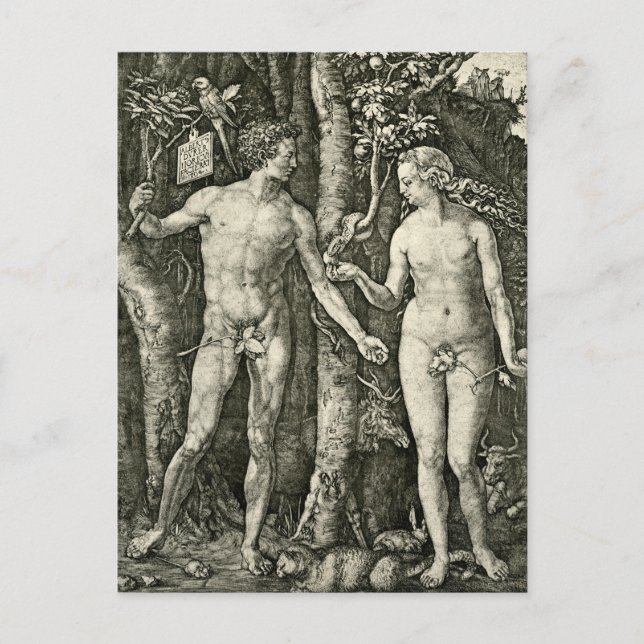 Cartão Postal Adam e Eve por Albrecht Durer (Frente)