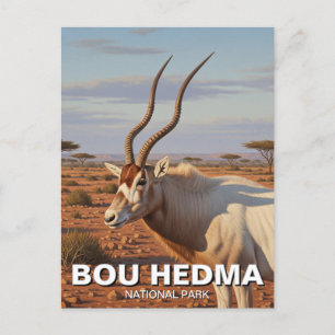 Cartão Postal Addax Antelope no Parque Nacional de Bou Hedma, Tu