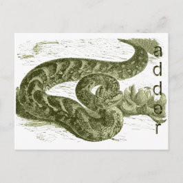 Cartão Postal Adder (cobra)