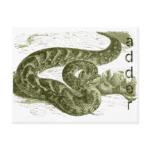 Adder (cobra)