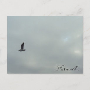 Cartão Postal Adeus...