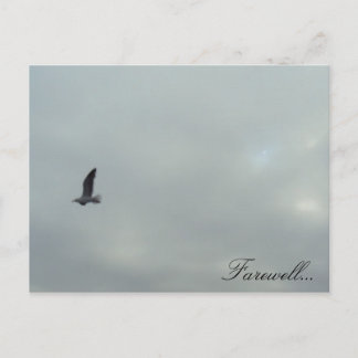Cartão Postal Adeus...