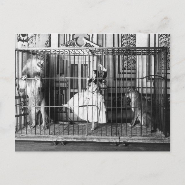 Cartão Postal Adgie e Seus Leões Adestrados 1897 (Frente)