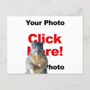 Cartão Postal Adicionar um esquilo com foto personalizada no car