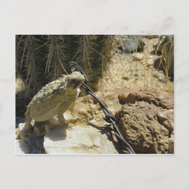 Cartão Postal ADICIONE SEU PRÓPRIO TEXTO à posição de Godzilla (Frente)