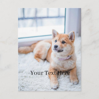 Cartão Postal Adicione sua foto e texto personalizado em 2 lados