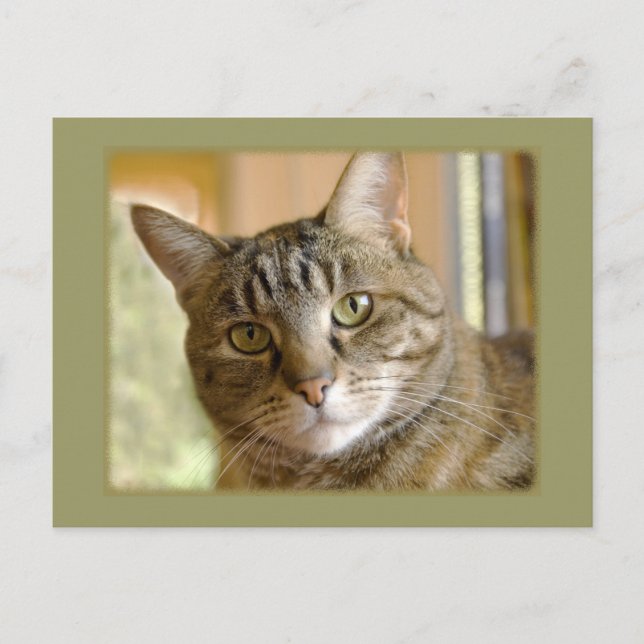 Cartão Postal Adicione Sua Foto Personalizada Pensando Em Seu Mo (Frente)