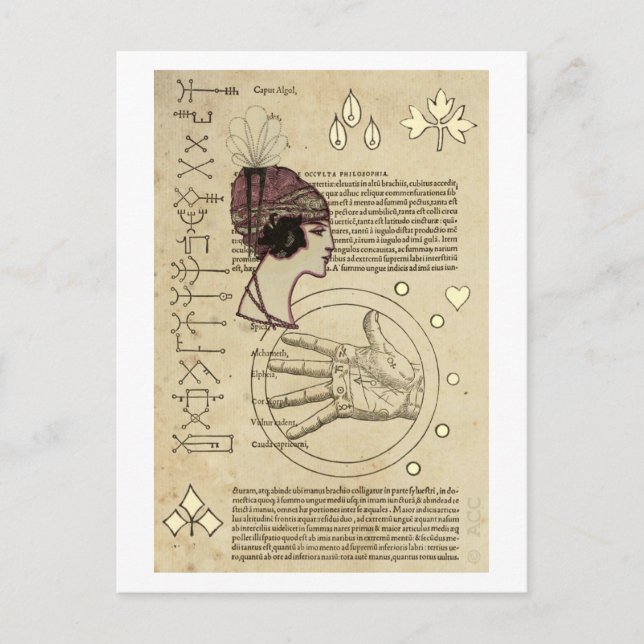 Cartão Postal Adivinha Cigana (Frente)