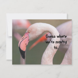 CARTÃO POSTAL ADIVINHA ONDE PLACA DE RELOCALIZAÇÃO