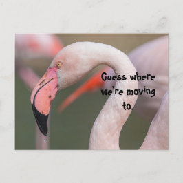 CARTÃO POSTAL ADIVINHA ONDE PLACA DE RELOCALIZAÇÃO