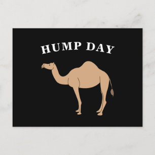 Cartão Postal Adivinhem Que Dia É O Deserto Do Camelo Hump Day