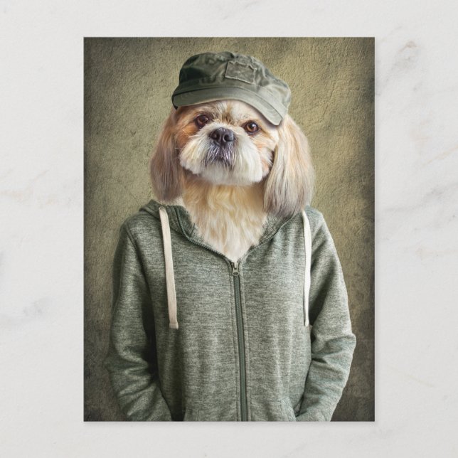 Cartão Postal Adorable Shih Tzu Wearing a Cap and Hoodie (Frente)