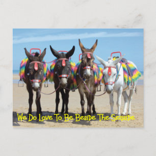 Cartão Postal Adoramos Estar Ao Lado Das Marchas De Donkey