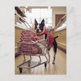 Cartão Postal Adorável Boston Terrier Comprando carne