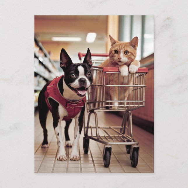 Cartão Postal Adorável Boston Terrier e um Cat vão Comprar (Frente)