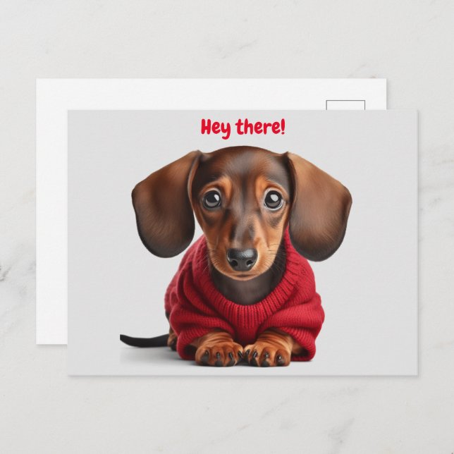 Cartão Postal Adorável cachorrinho Dachshund  (Frente/Verso)