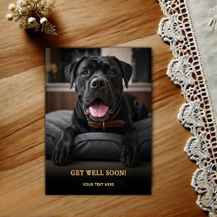 Cartão Postal Adorável Cane Corso Melhoras