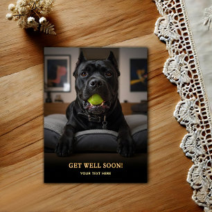Cartão Postal Adorável Cane Corso Melhoras