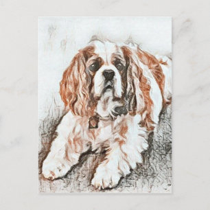 Cartão Postal Adorável Cavaleiro Rei Charles Spaniel Sketch