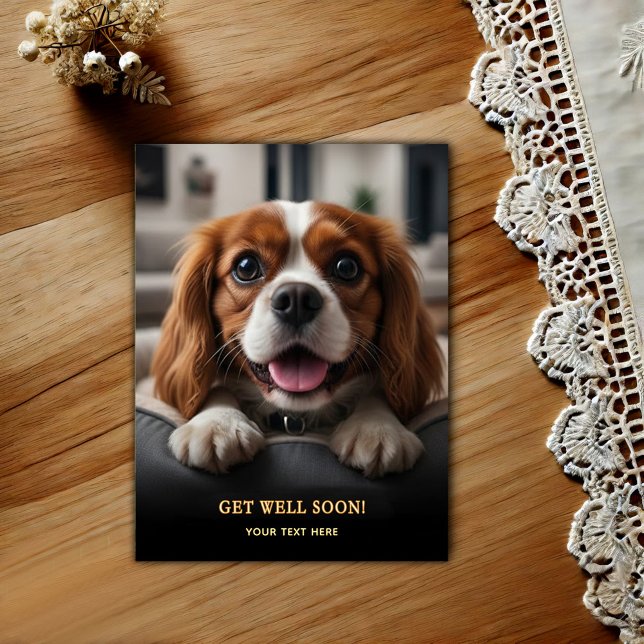 Cartão Postal Adorável Cavalier King Charles Spaniel Melhoras  (Criador carregado)