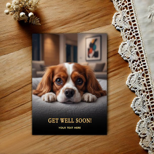 Cartão Postal Adorável Cavalier King Charles Spaniel Recupere-se