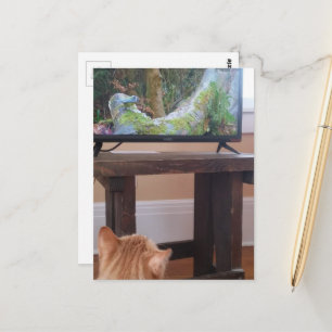 Cartão Postal adorável gatinho ruivo assistindo TV