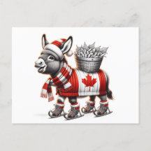 Adorável Ice Skating Canada Donkey