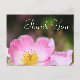 Cartão Postal adorável obrigado de casamento de rosa rosa