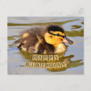 Cartão Postal Adorável Patinho na Lagoa Feliz Aniversário 