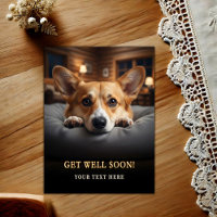 Adorável Pembroke Welsh Corgi Recupere-se