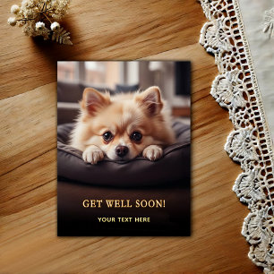 Cartão Postal Adorável Pomerânia Melhoras 