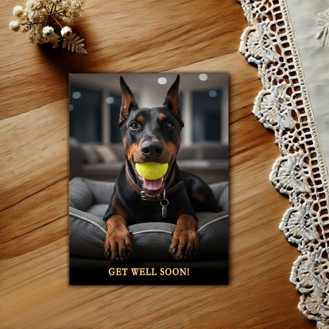 Cartão Postal Adorável Postcard de Get Well do Doberman Pinscher (Criador carregado)