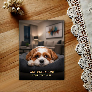 Cartão Postal Adorável Shih Tzu para Melhoras