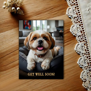 Cartão Postal Adorável Shih Tzu para Melhoras