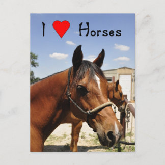Cartão Postal Adoro cavalos postais do cavalo ocidental