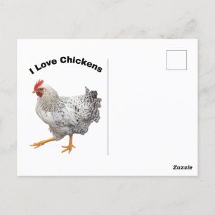 Cartão Postal Adoro Galinhas, galinhas, humor, engraçado