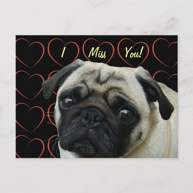Cartão Postal Adoro Pugs com Corações (Frente)