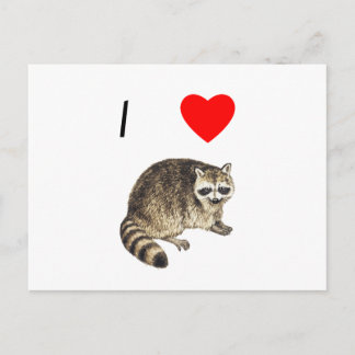 Cartão Postal Adoro Raccoons