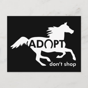 Cartão Postal Adotar Não Comprar Cavalo Branco