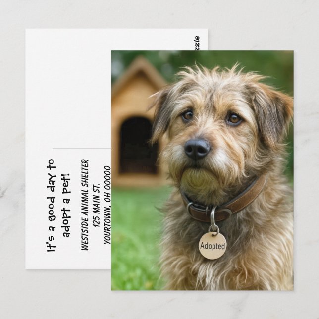 Cartão Postal Adote um Pet  (Frente/Verso)