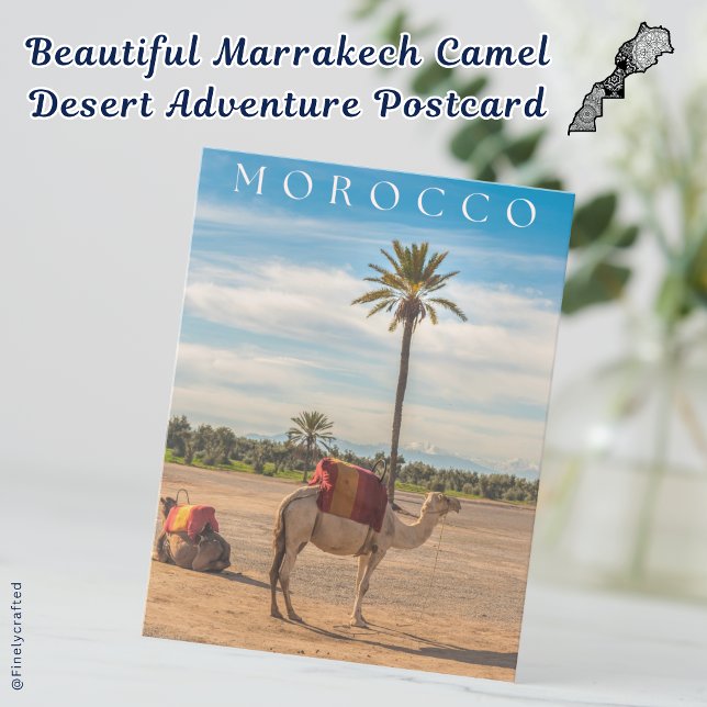 Cartão Postal Adventure Marrakech Camel (Criador carregado)